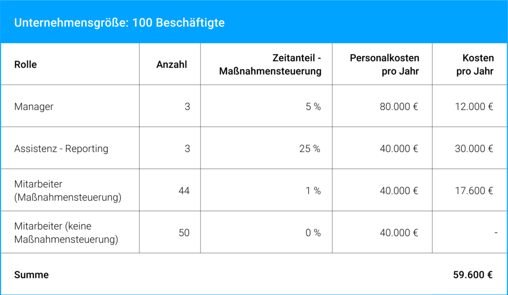 MSO-Maßnahmenmanagement-Grafik-Kostenaufstellung